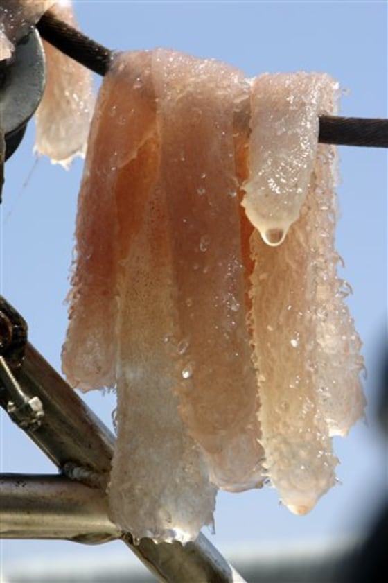 Pyrosomes